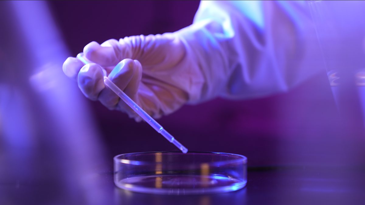 Silicone Micropowder