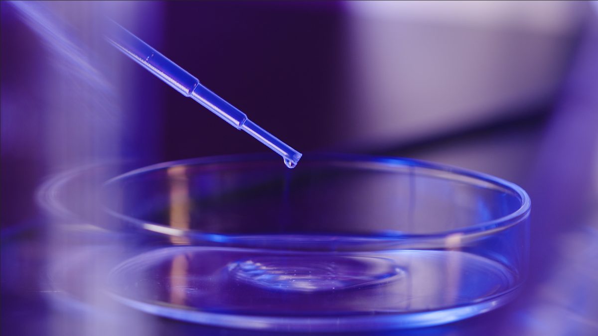 Formulation development